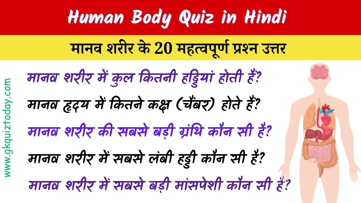 Human Body Quiz in Hindi | मानव शरीर के 20 महत्वपूर्ण प्रश्न उत्तर सहित